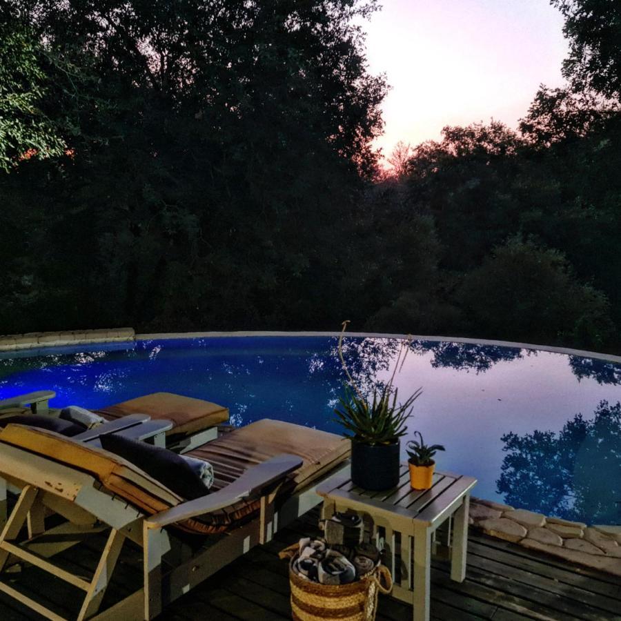 Leopard'S Lair Bush Lodge 侯斯普瑞特 外观 照片
